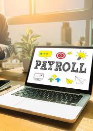 Payroll: Preparation, Analysis and Management